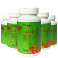 Espinhiera  Santa - Natugyn 500mg